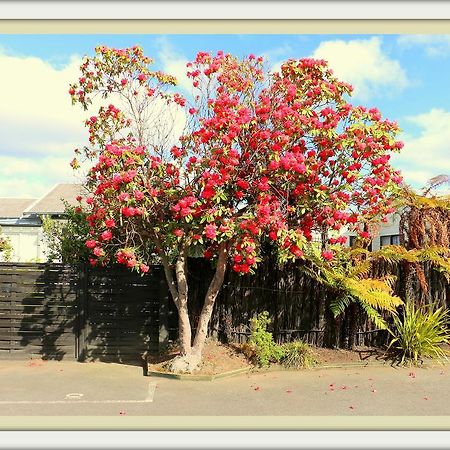 Victoria Lodge Rotorua Kültér fotó