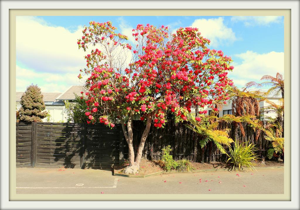 Victoria Lodge Rotorua Kültér fotó